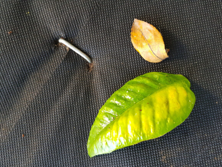 Non-Woven-Spunbonded-Weedmat