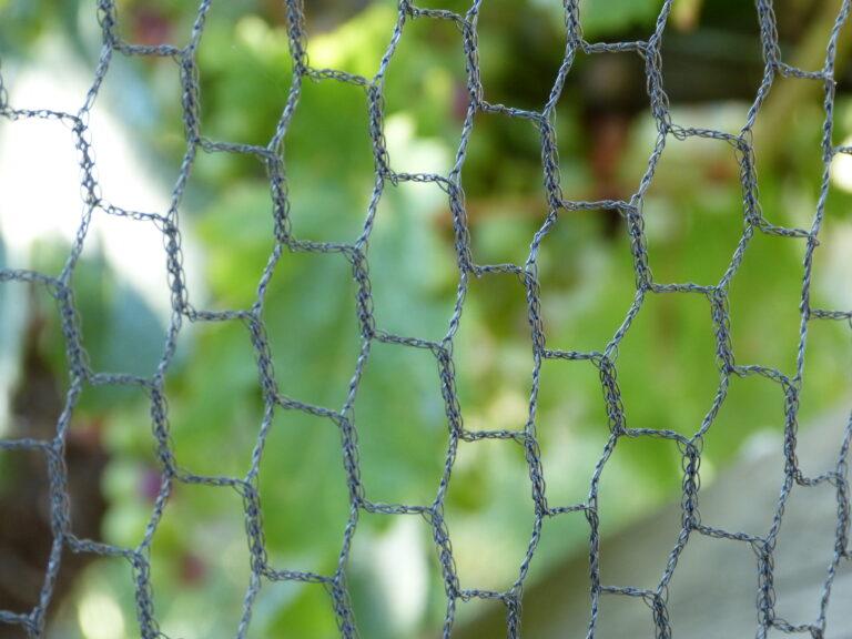 Closeup Net Shot