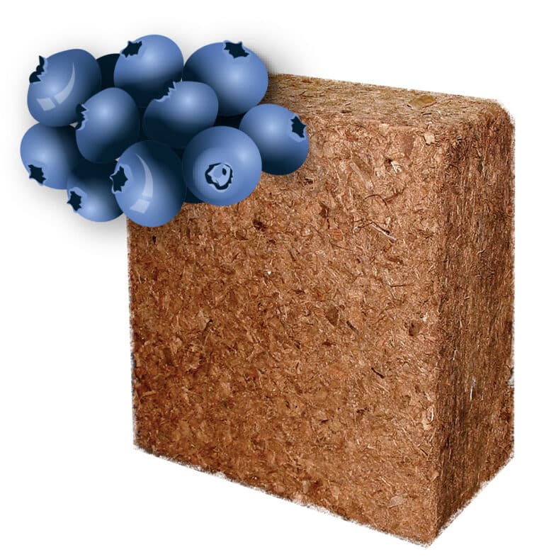 Blueberry Coir 60L Block
