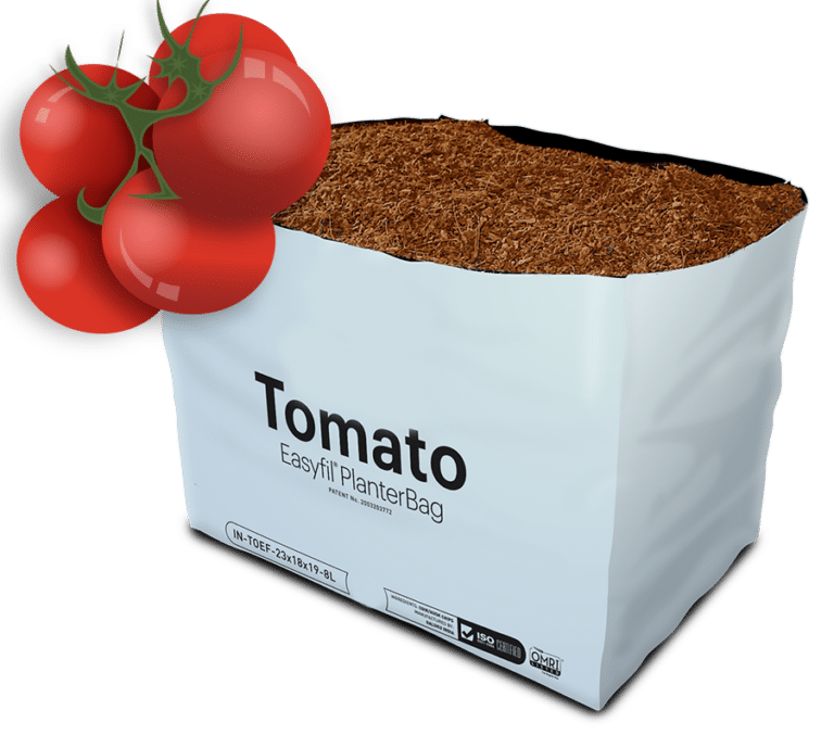 Tomato Easyfil PlanterBag