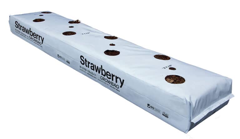 18L Strawberry Growbag