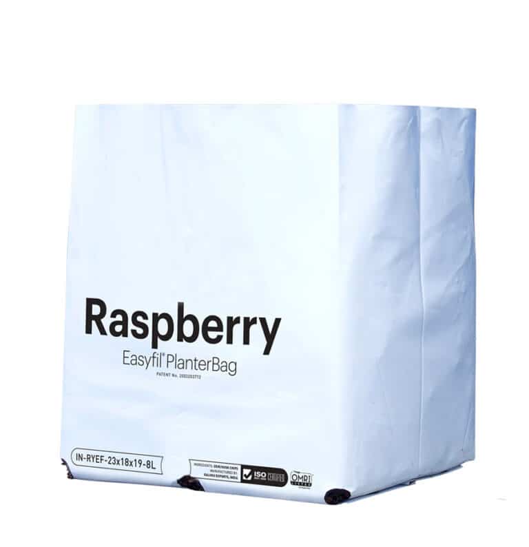 Raspberry Easyfil PlanterBag