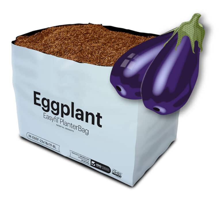Eggplant Easyfil PlanterBag
