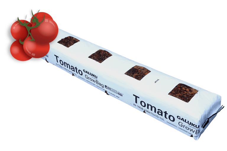 15L Tomato Growbag