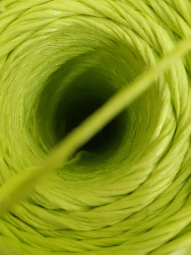 Kiwi Fruit Twine 1