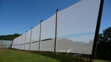 Ultimate Windbreak White